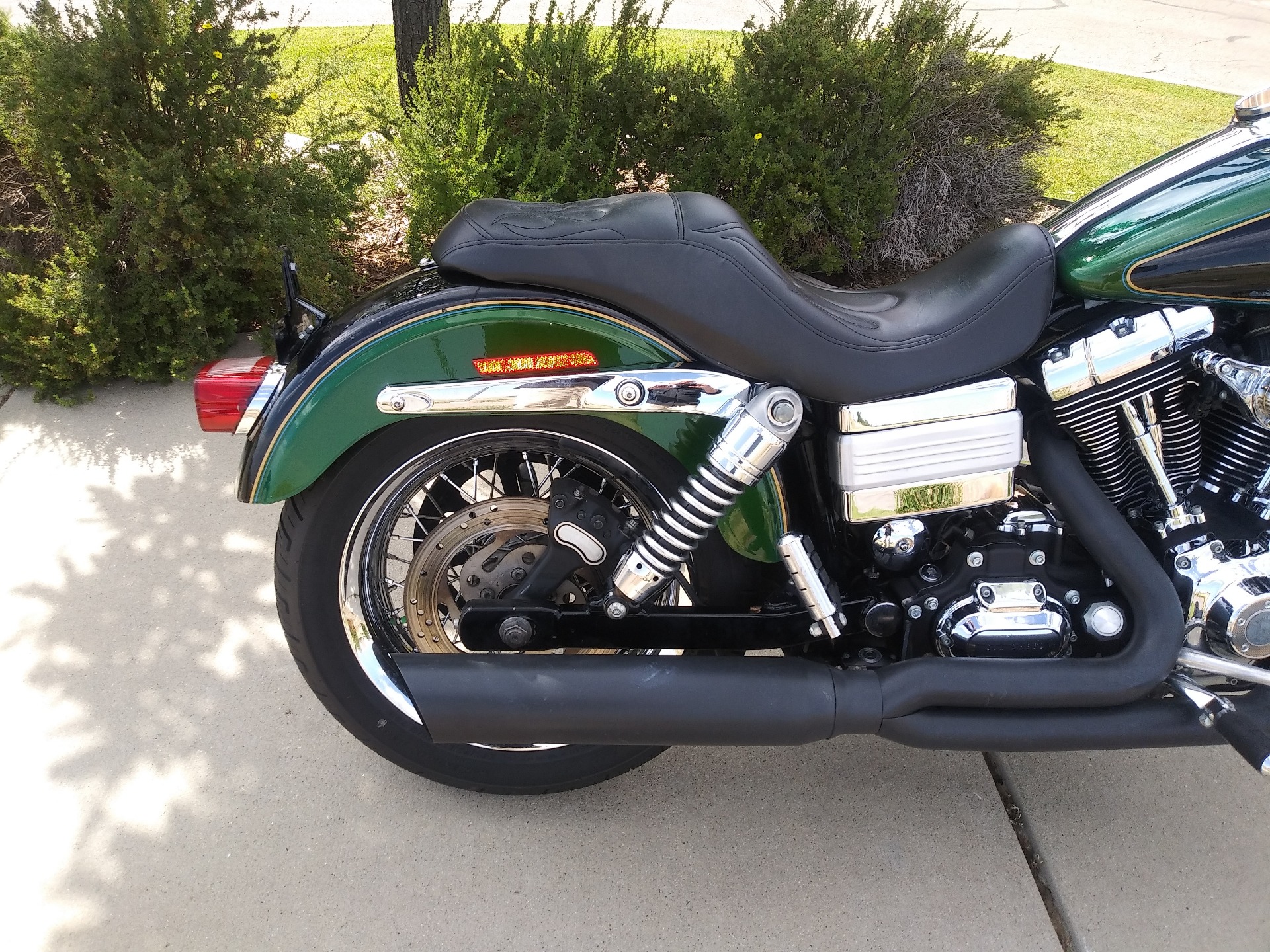 Detail Dragonfly Green Harley Nomer 29