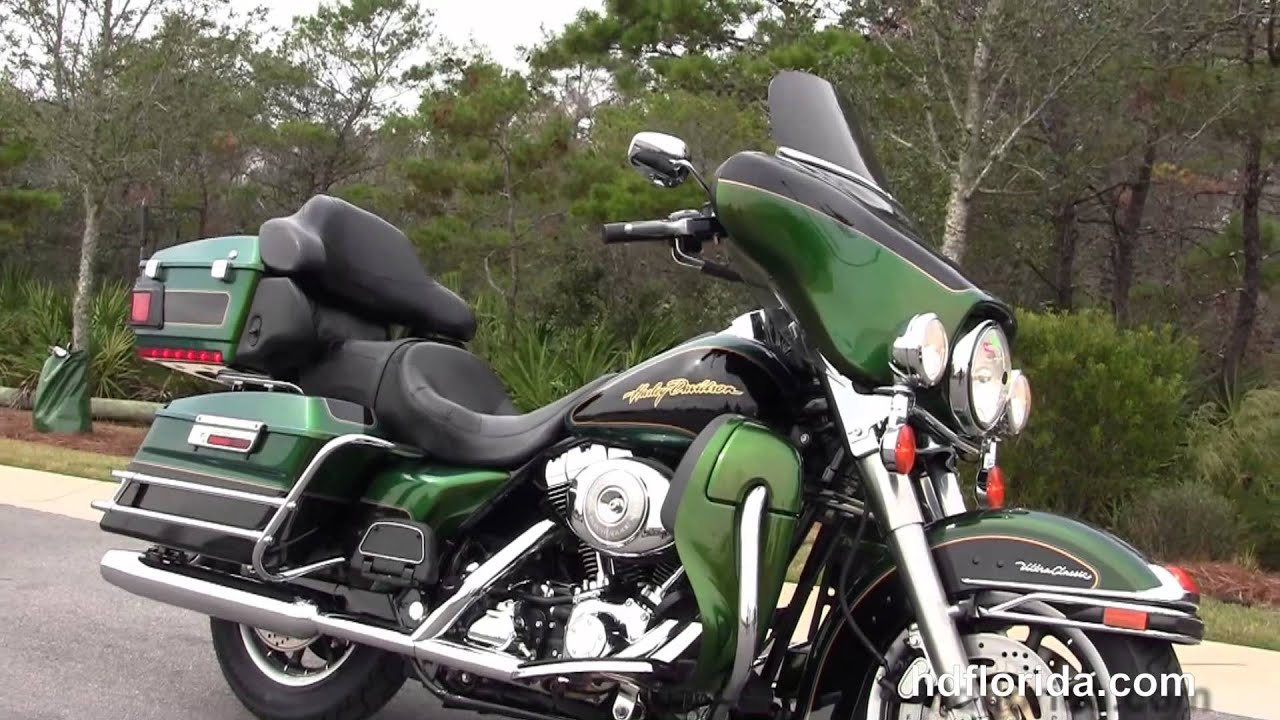 Detail Dragonfly Green Harley Nomer 31