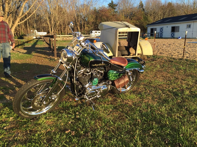 Detail Dragonfly Green Harley Nomer 33