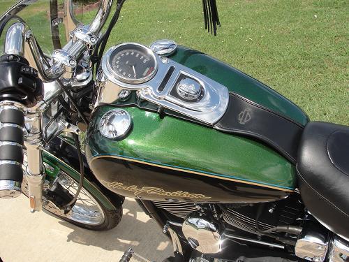 Detail Dragonfly Green Harley Nomer 34