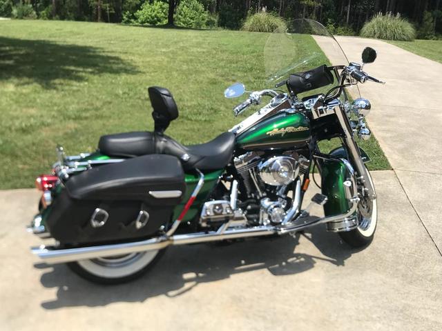 Detail Dragonfly Green Harley Nomer 35