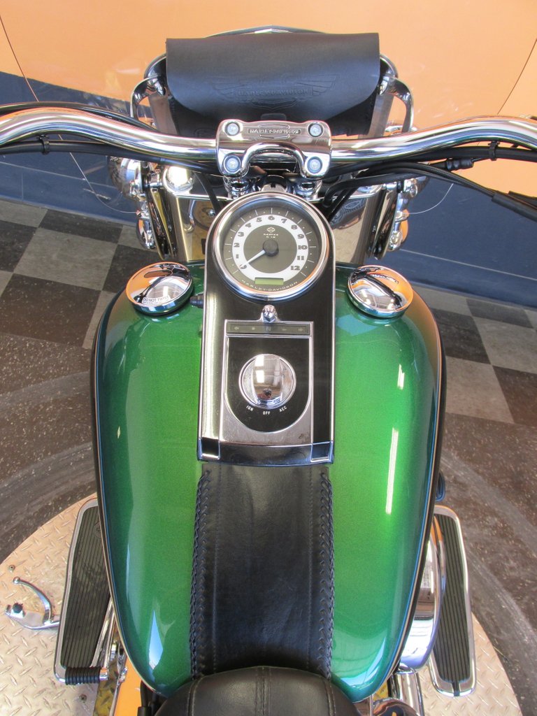 Detail Dragonfly Green Harley Nomer 4