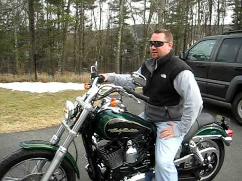 Detail Dragonfly Green Harley Nomer 39