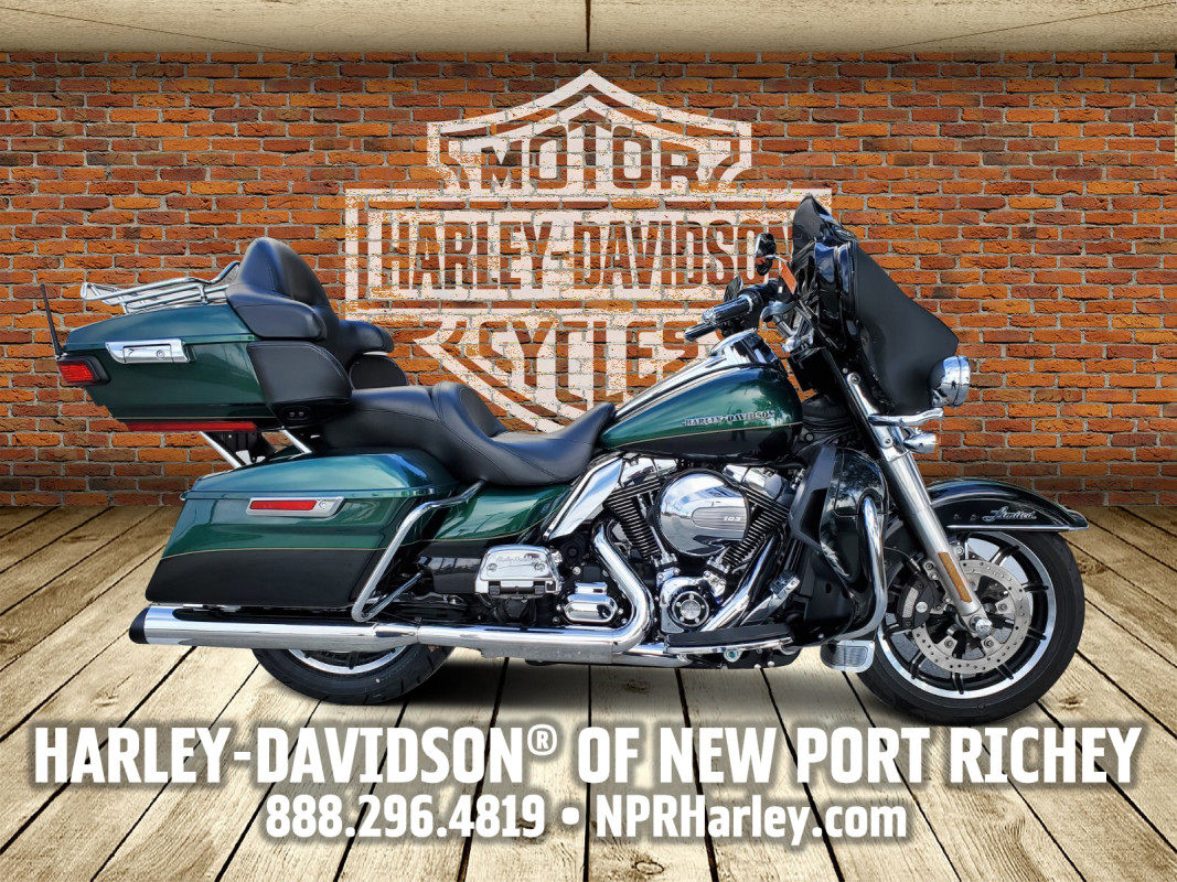 Detail Dragonfly Green Harley Nomer 42