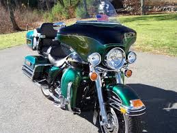 Detail Dragonfly Green Harley Nomer 5