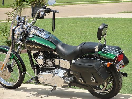 Detail Dragonfly Green Harley Nomer 48