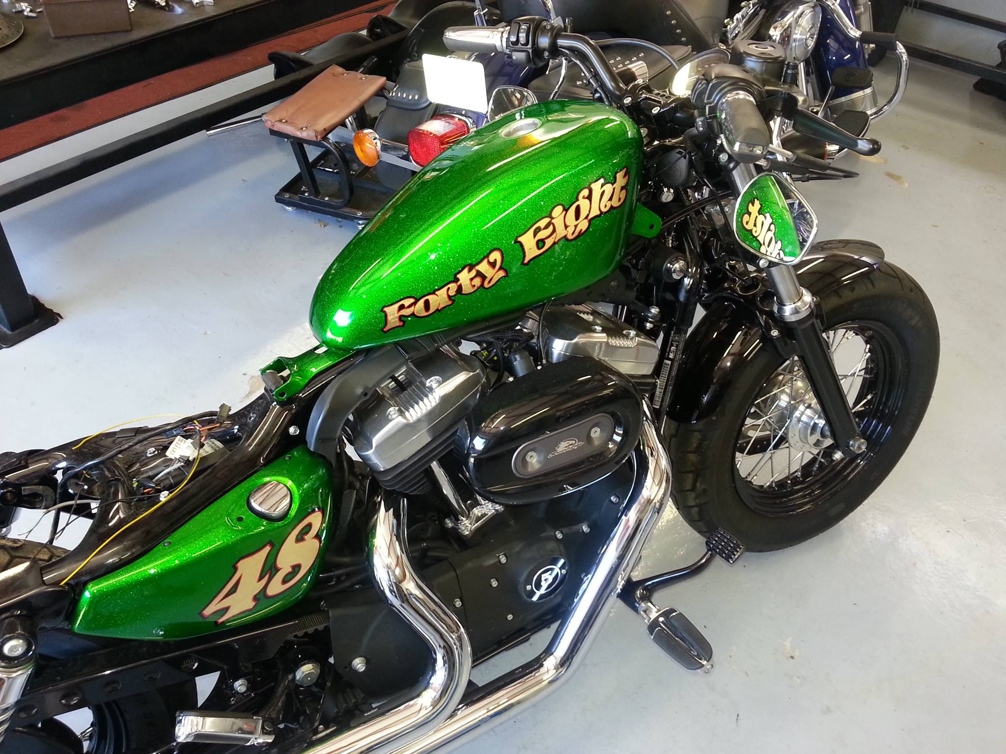 Detail Dragonfly Green Harley Nomer 49