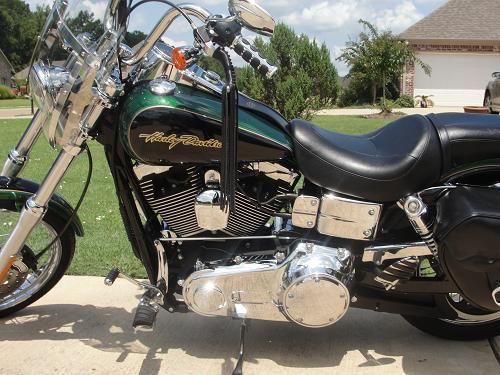 Detail Dragonfly Green Harley Nomer 53