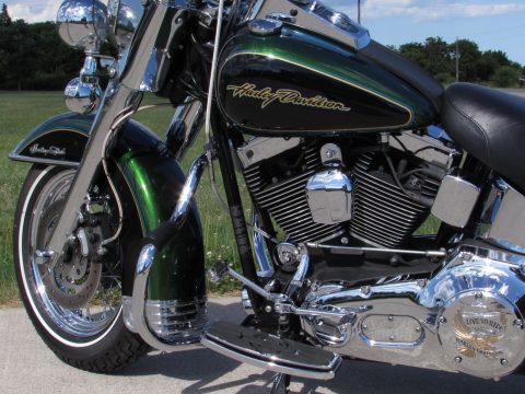 Detail Dragonfly Green Harley Nomer 56