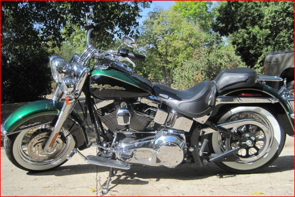 Detail Dragonfly Green Harley Nomer 7