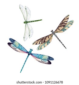Detail Dragonfly Images Free Nomer 45