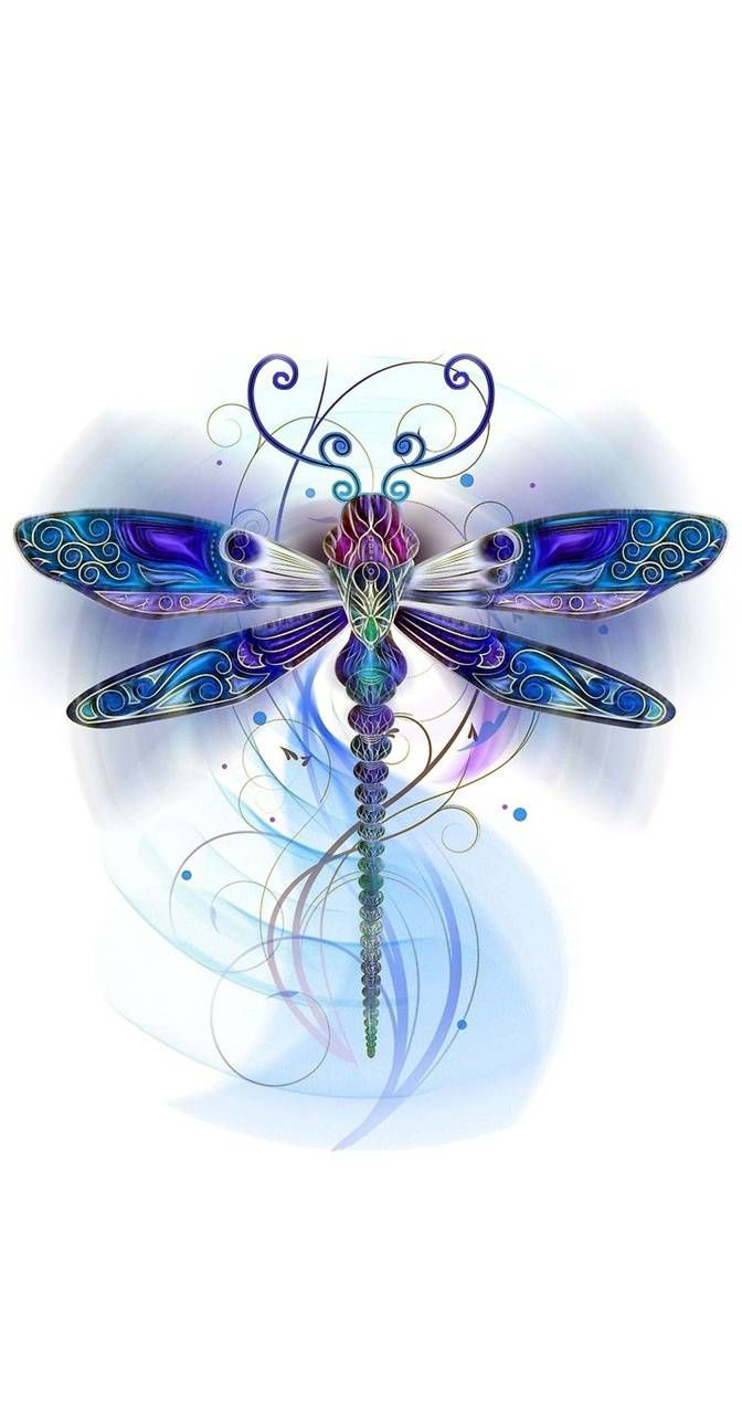 Detail Dragonfly Images Free Download Nomer 3