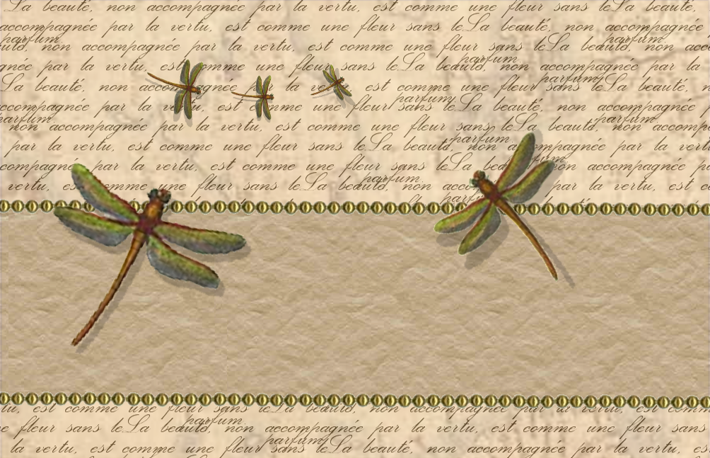 Detail Dragonfly Images Free Download Nomer 46