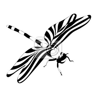 Detail Dragonfly In Flight Silhouette Nomer 16