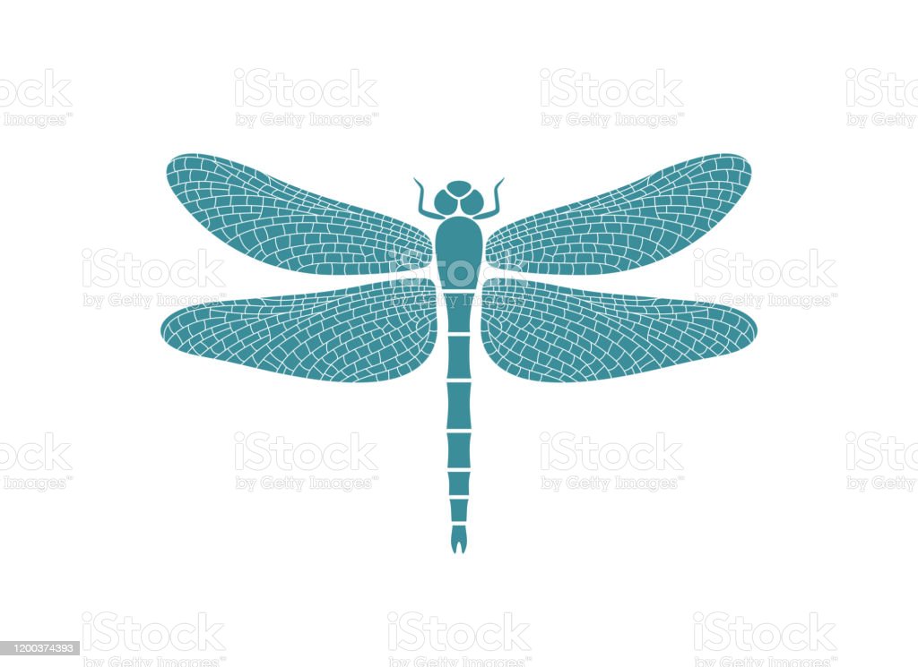 Detail Dragonfly Logo Nomer 49