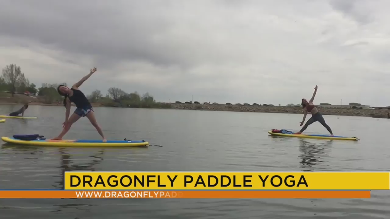 Detail Dragonfly Paddle Yoga Nomer 39