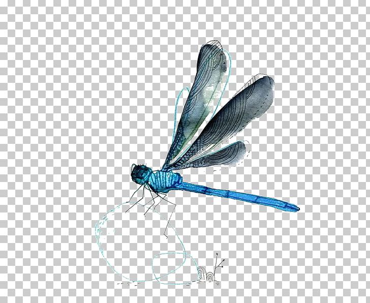 Detail Dragonfly Png Nomer 33