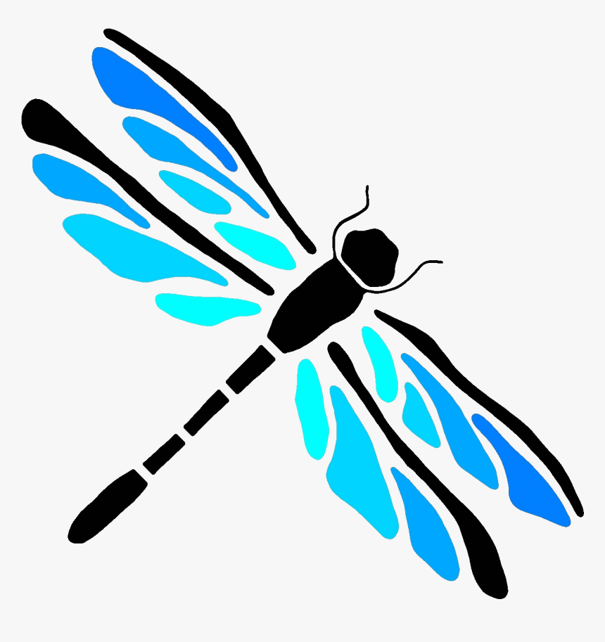 Detail Dragonfly Png Nomer 48