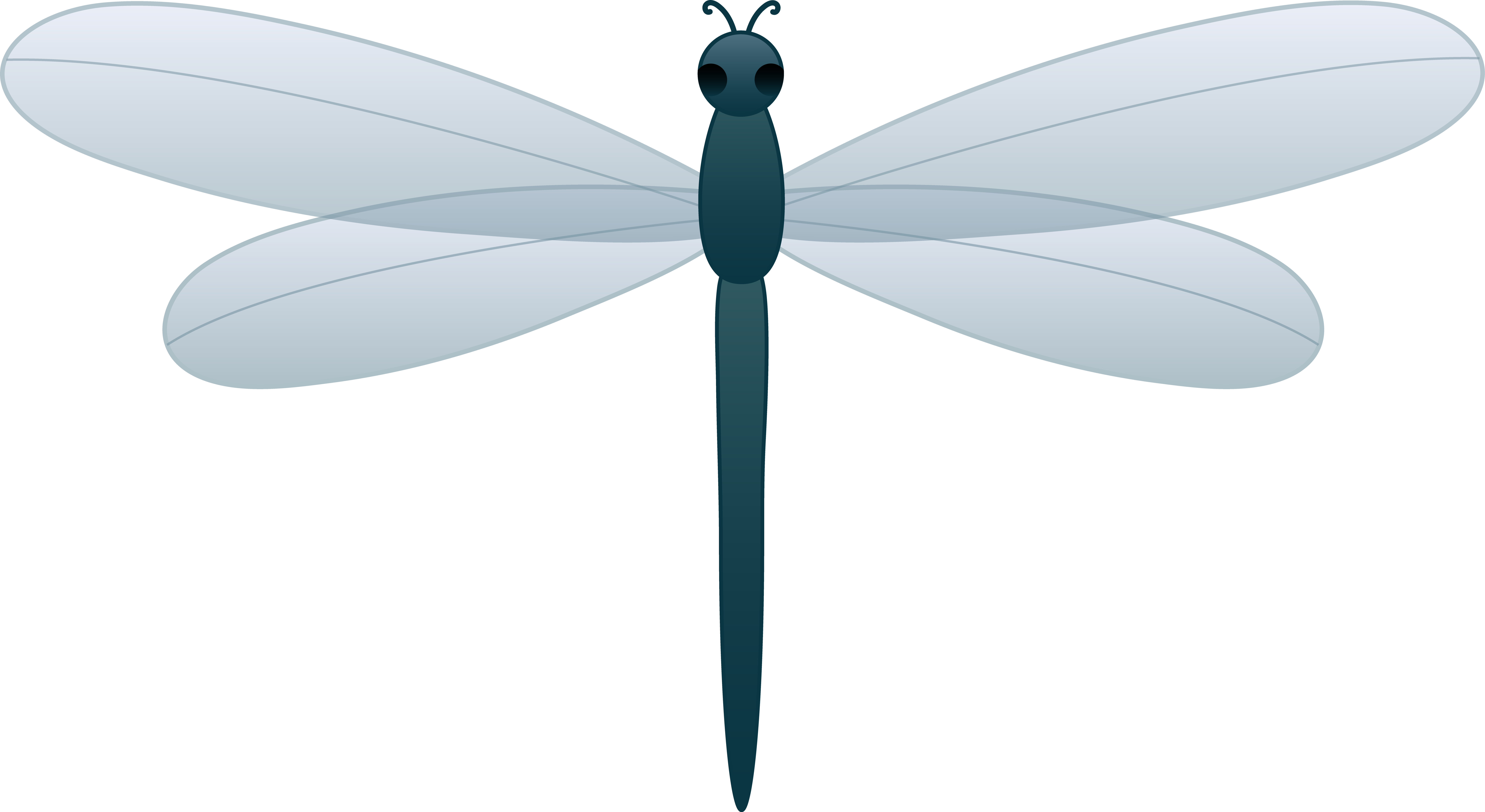 Detail Dragonfly Png Clipart Nomer 15