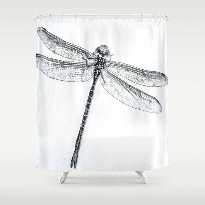Detail Dragonfly Shower Curtains Nomer 41