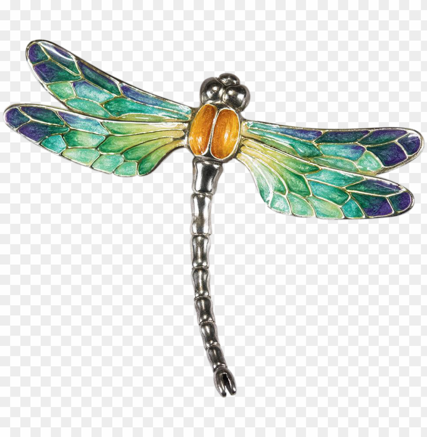 Detail Dragonfly Transparent Nomer 17