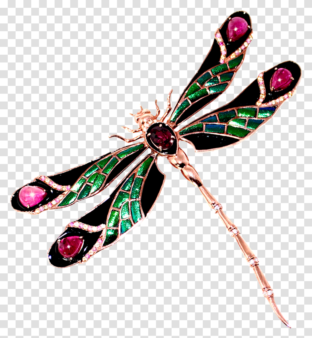 Detail Dragonfly Transparent Nomer 25