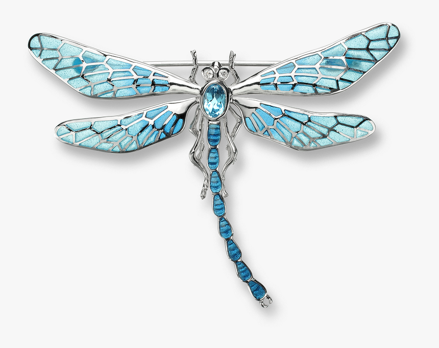 Detail Dragonfly Transparent Nomer 42