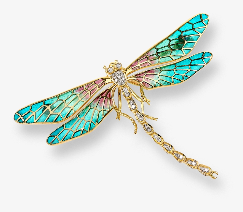 Detail Dragonfly Transparent Nomer 44