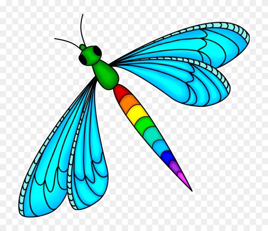 Detail Dragonfly Transparent Nomer 51