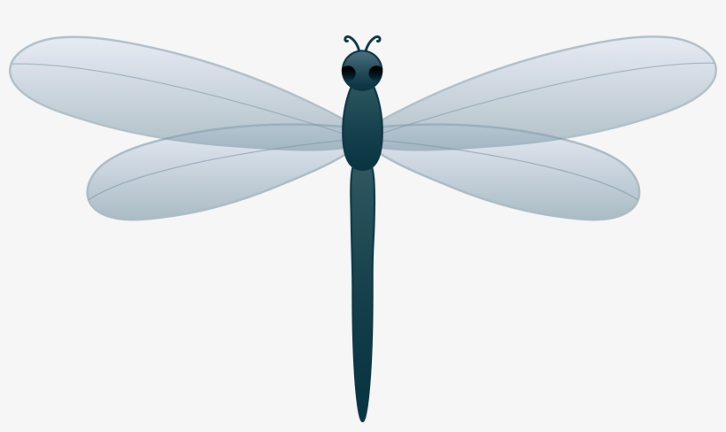 Detail Dragonfly Transparent Background Nomer 16