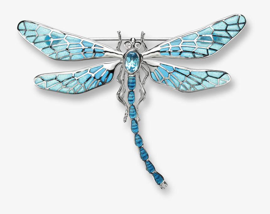 Detail Dragonfly Transparent Background Nomer 35