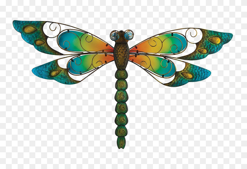 Detail Dragonfly Transparent Background Nomer 47