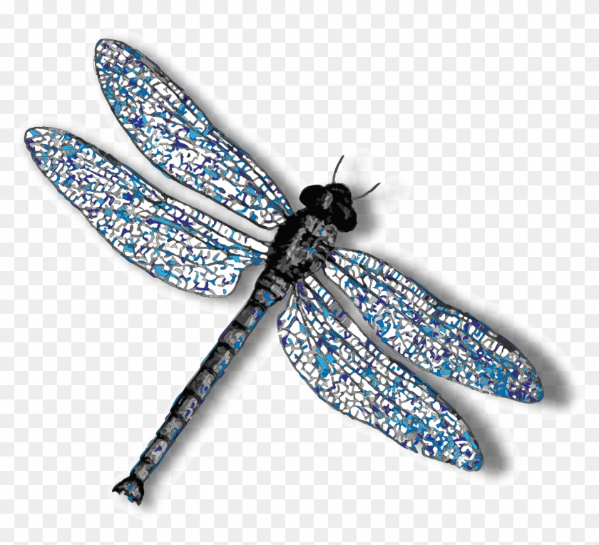 Detail Dragonfly Transparent Background Nomer 6