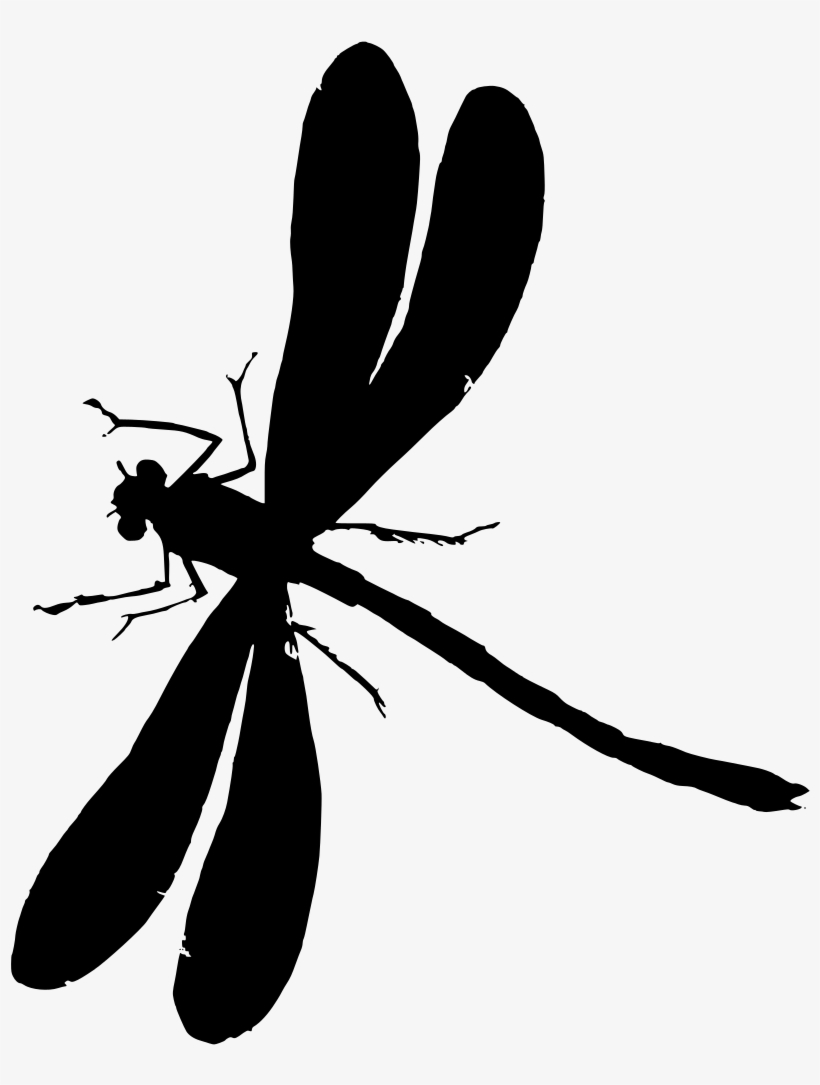 Detail Dragonfly Vector Png Nomer 14