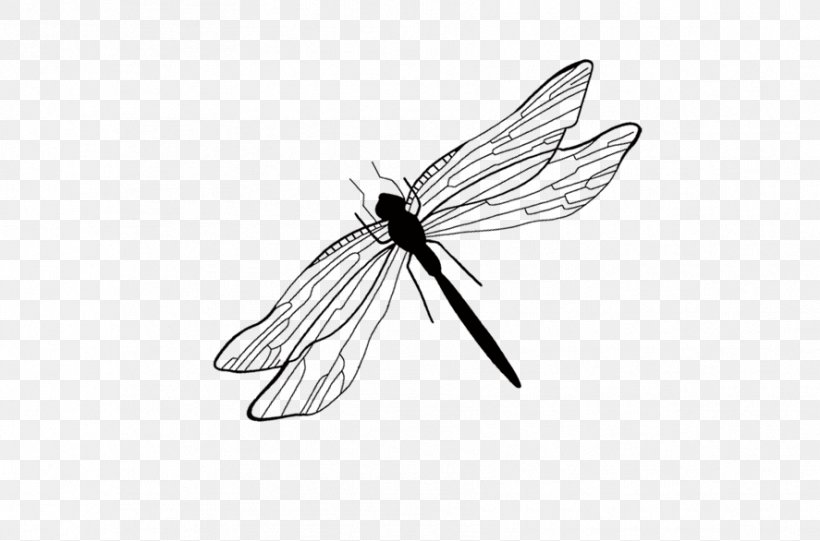 Detail Dragonfly Vector Png Nomer 19