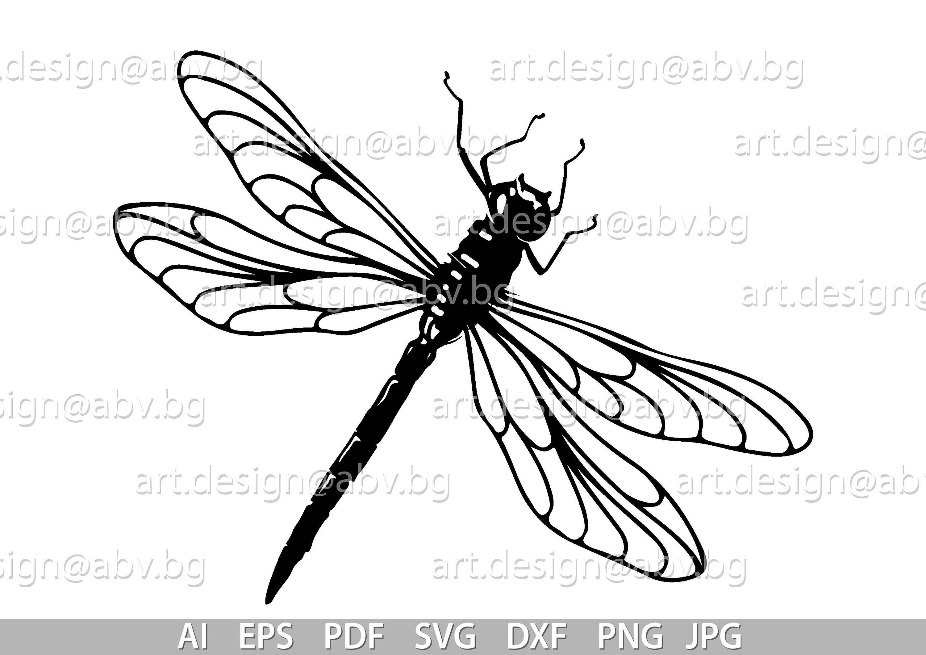 Detail Dragonfly Vector Png Nomer 21