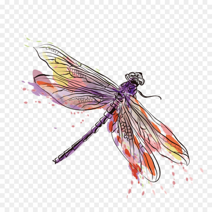 Detail Dragonfly Vector Png Nomer 25