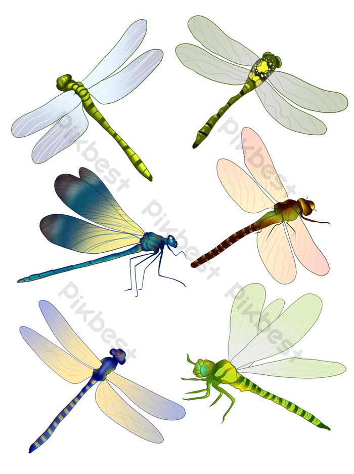 Detail Dragonfly Vector Png Nomer 34