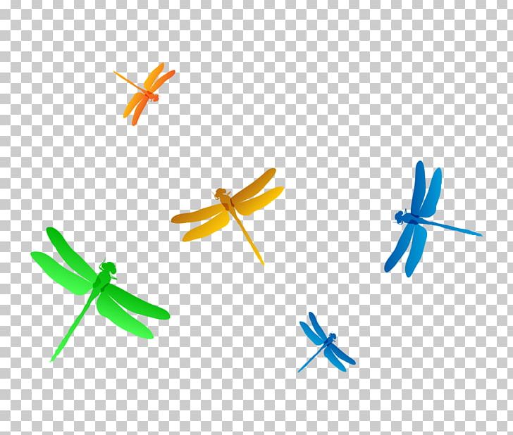 Detail Dragonfly Vector Png Nomer 36