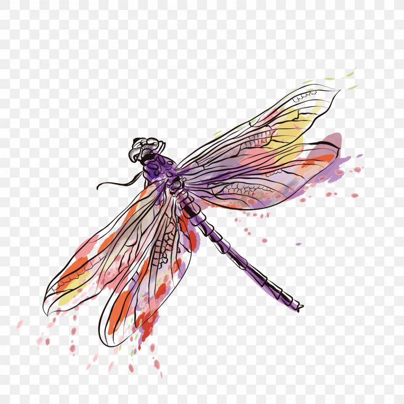 Detail Dragonfly Vector Png Nomer 5