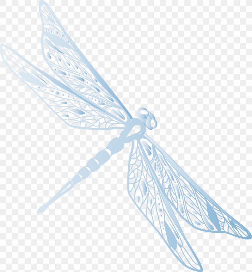 Detail Dragonfly Vector Png Nomer 6