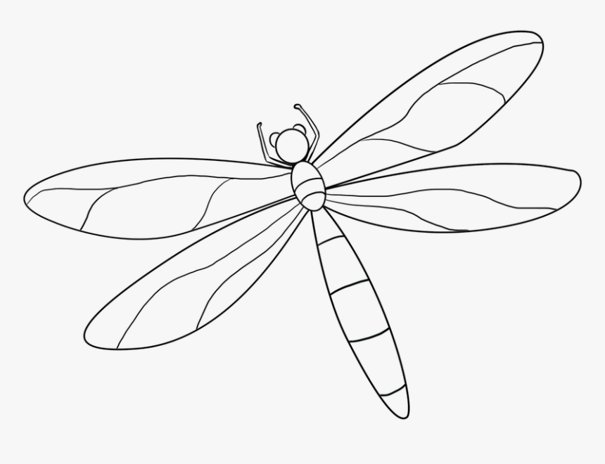 Detail Dragonfly Vector Png Nomer 7