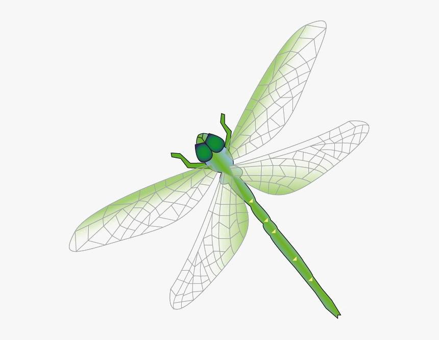 Detail Dragonfly Vector Png Nomer 8