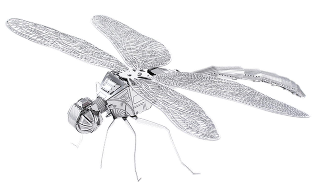 Detail Dragonfly Vs Praying Mantis Nomer 54