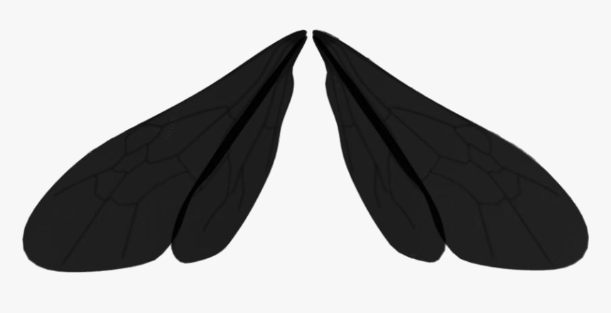 Detail Dragonfly Wings Png Nomer 17