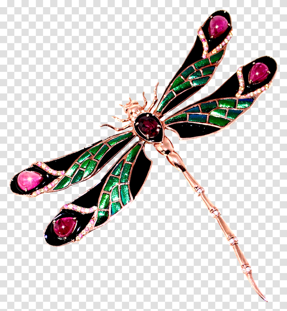 Detail Dragonfly Wings Png Nomer 23