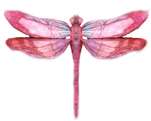 Detail Dragonfly Wings Png Nomer 40