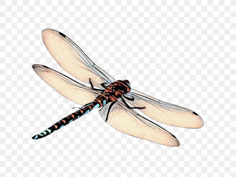 Detail Dragonfly Wings Png Nomer 48