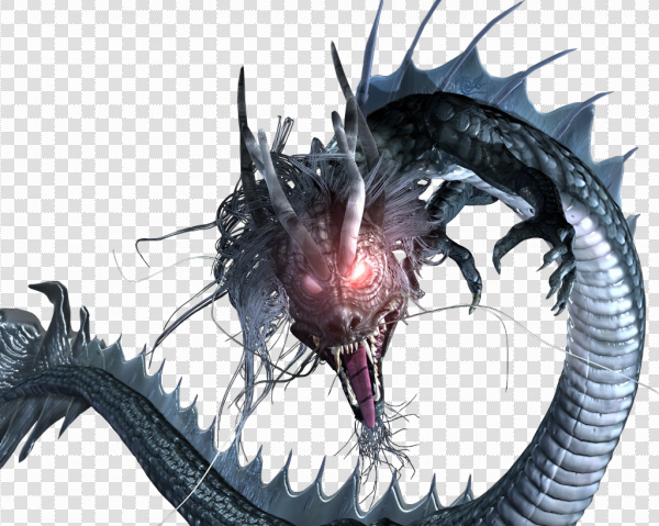 Detail Dragons Transparent Nomer 24