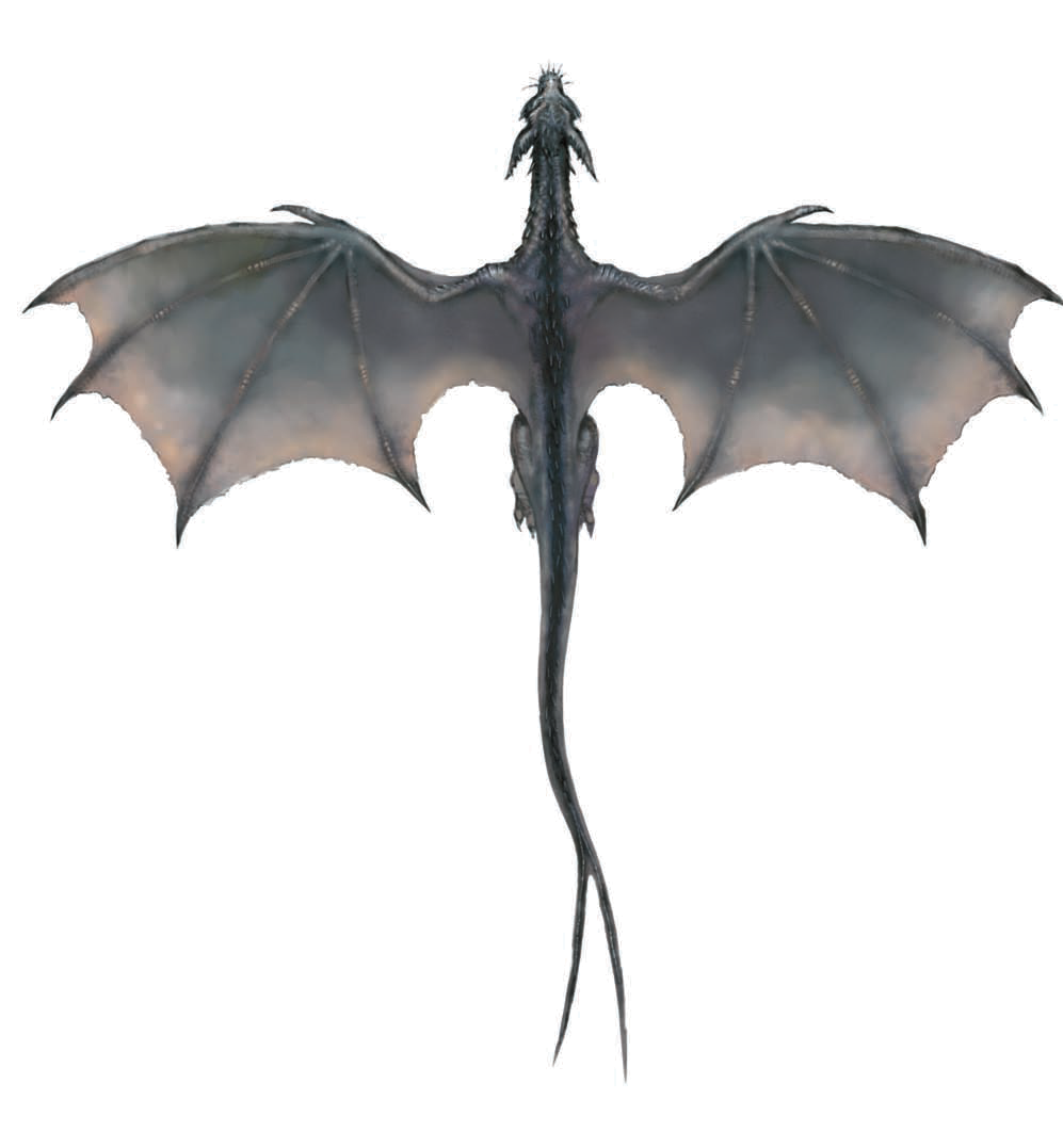 Detail Dragons Transparent Nomer 29
